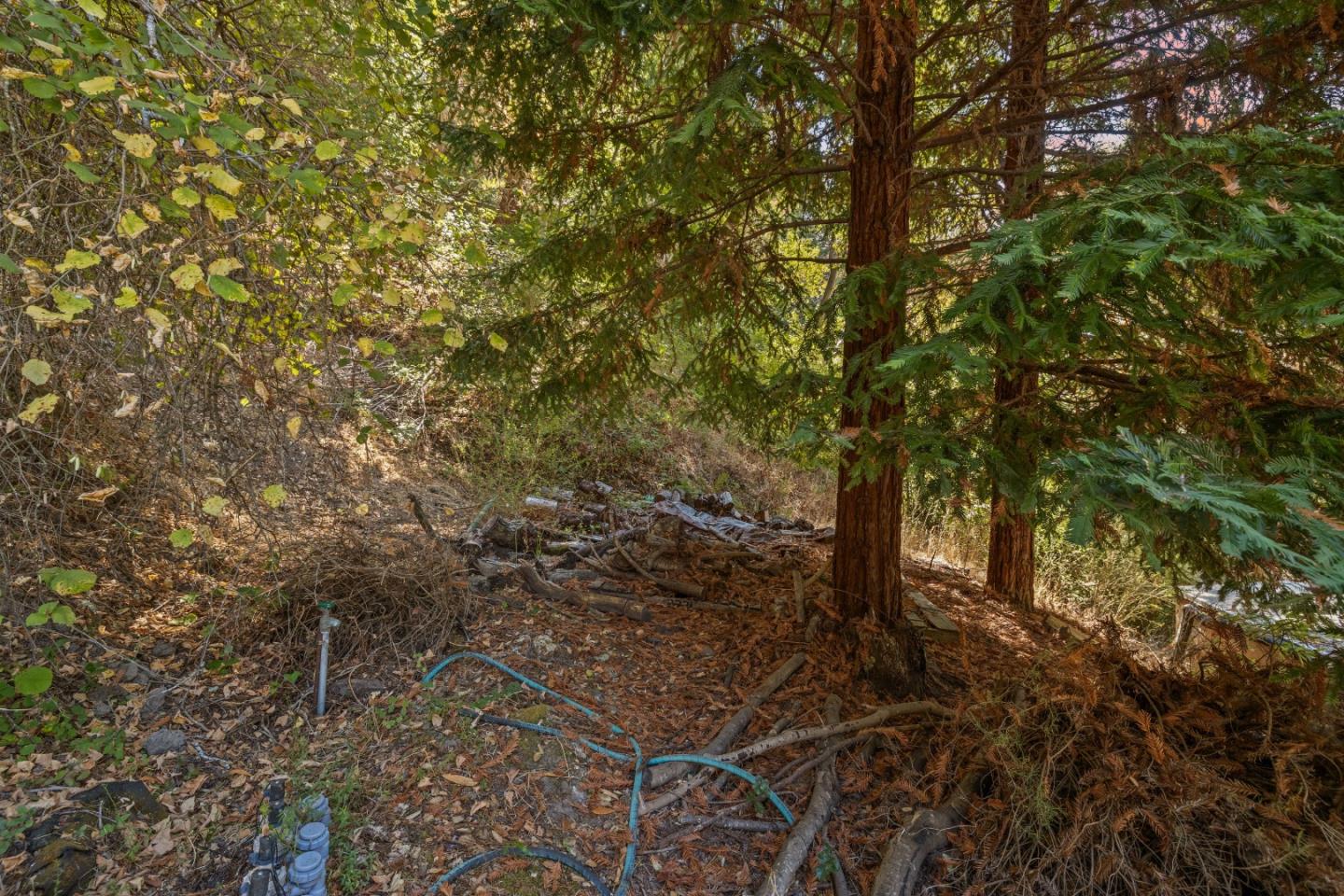 600 Cook Way Ben Lomond, CA 95005 - Photo 74 of 85