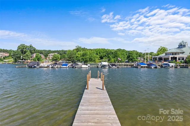 a lake view with boat and palm trees