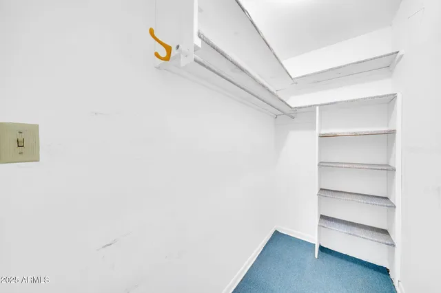 a view of walk in closet with empty racks