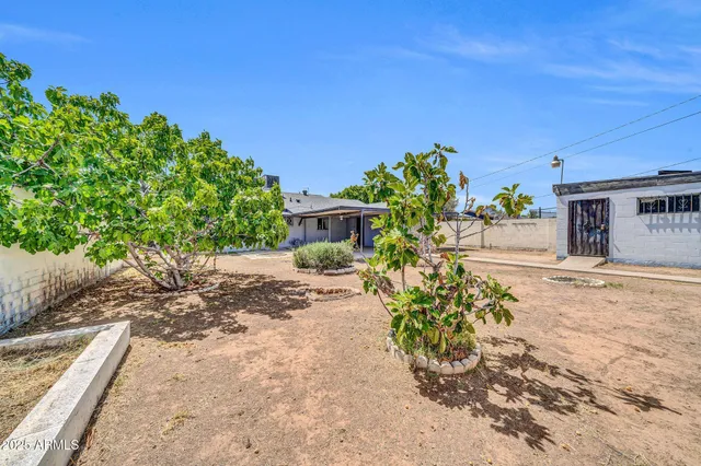 a view of a yard with potted plants