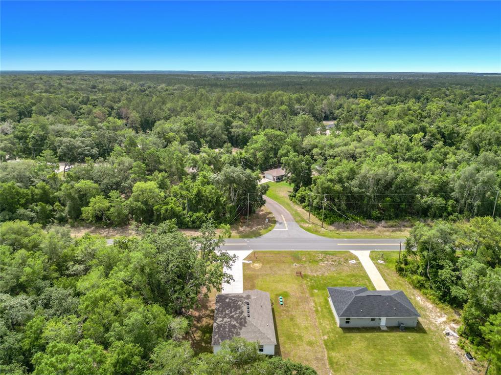 50 Bay Road Ocklawaha, FL 32179 - Photo 3 of 51
