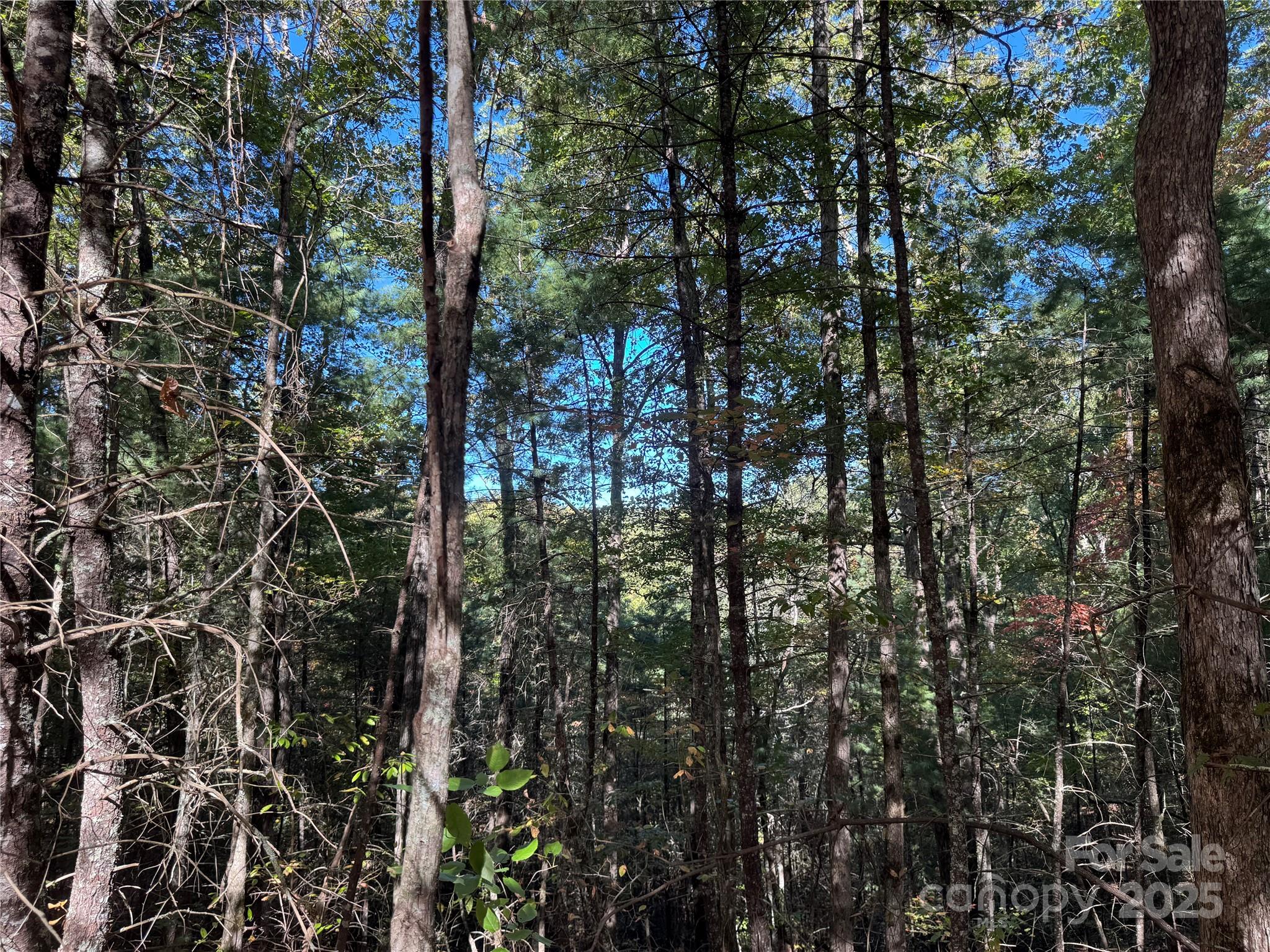 0 River Hill Road Murphy, NC 28906 - Photo 8 of 35