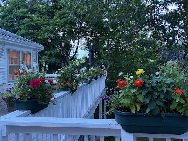 27 Uncatena Road Mashpee, MA 02649 - Photo 41 of 50 a bunch of flowers are in a garden