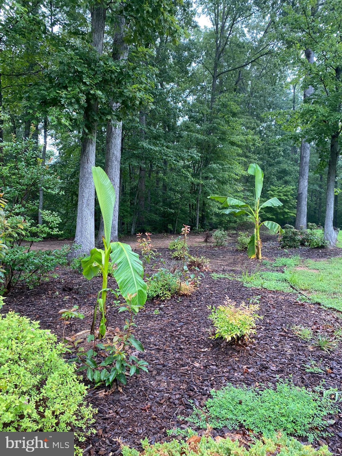 9361 Keyser Road Nokesville, VA 20181 - Photo 80 of 83 Gallery Image 80