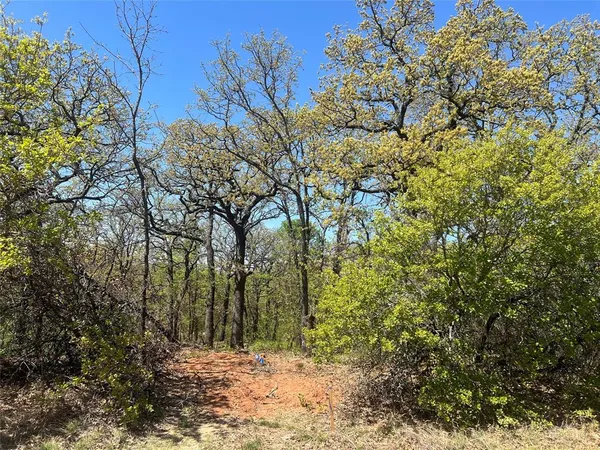 $150,000 | 1000 Crazy Horse Trail, Joshua, TX 76058