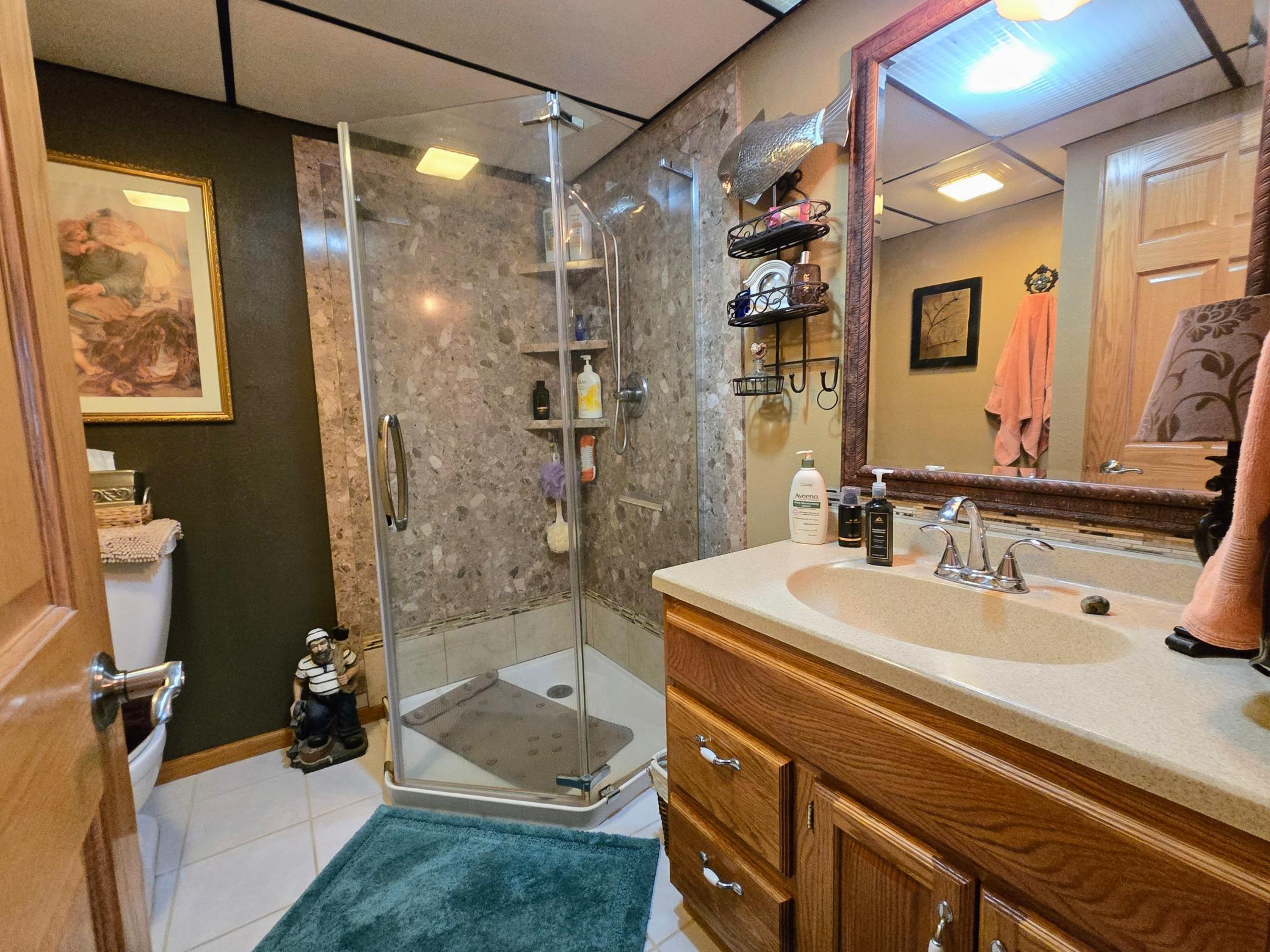 15566 241st Street Cold Spring, MN 56320 - Photo 36 of 61