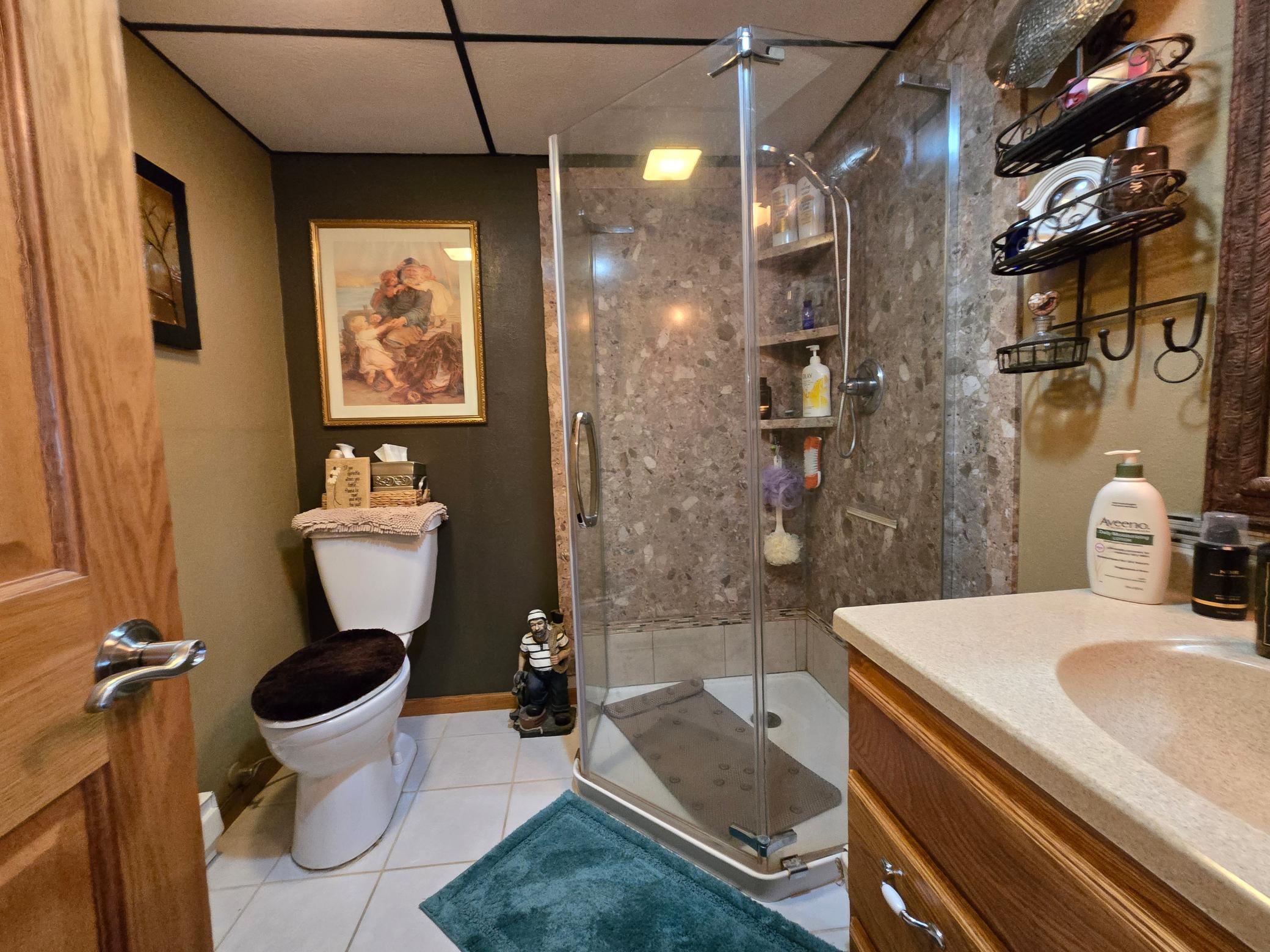 15566 241st Street Cold Spring, MN 56320 - Photo 37 of 61