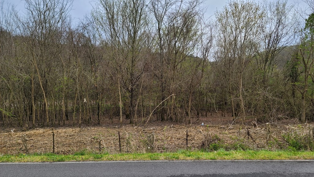 0 Piedmont Road New Market, TN 37820 - Photo 3 of 11