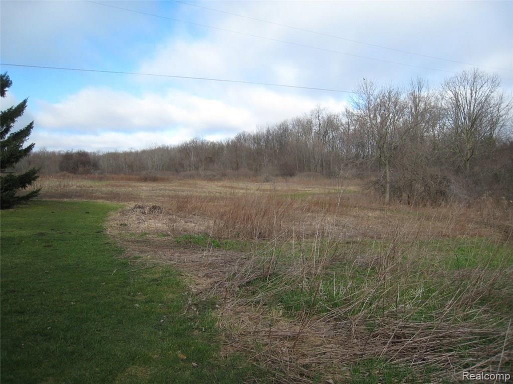 2089 Mitchell Lake Road Attica, MI 48412 - Photo 22 of 23 Field.jpg