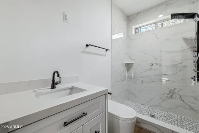 a bathroom with a sink a toilet and shower