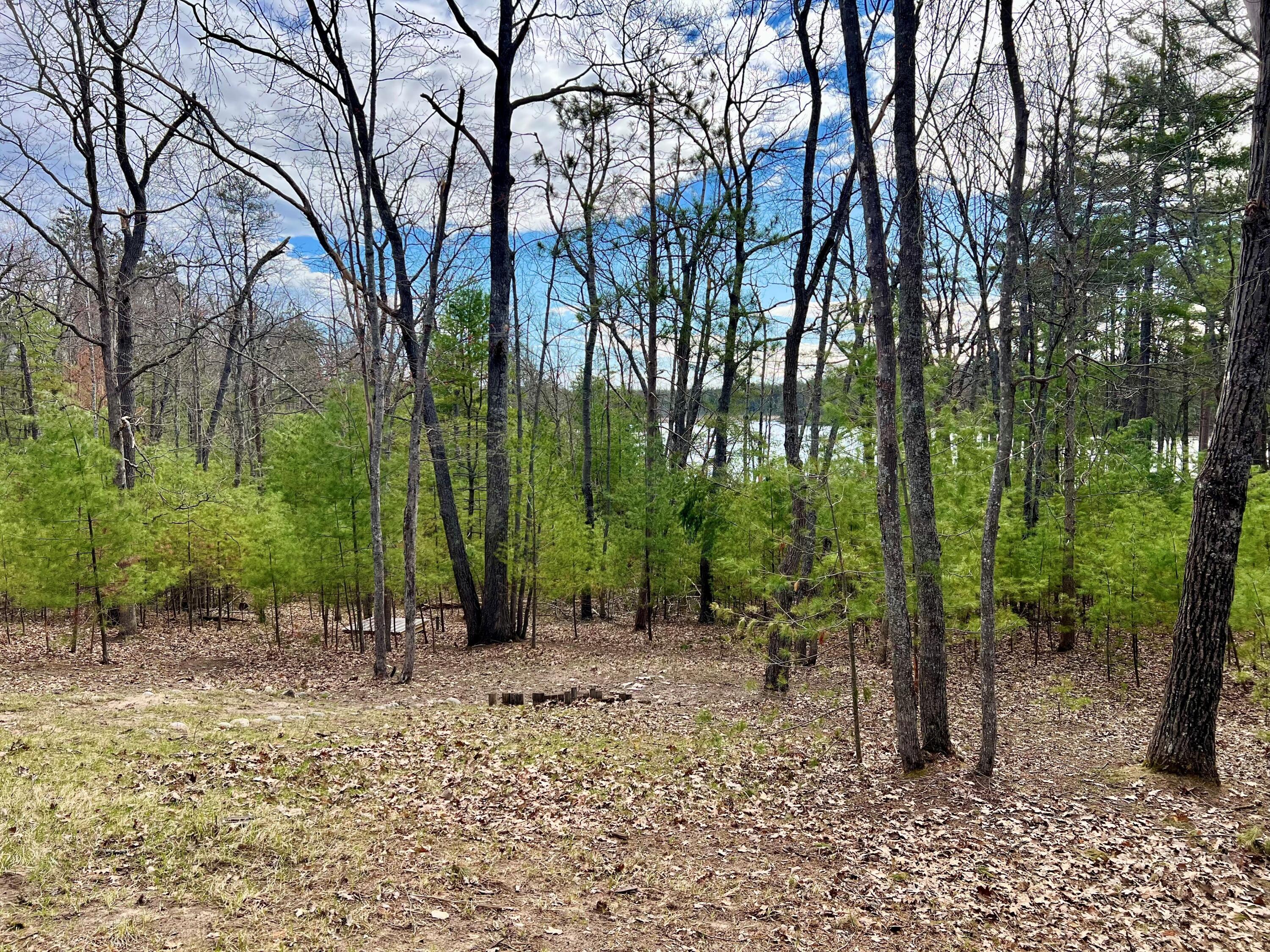 24089 Ranch House Trail Atlanta, MI 49709 - Photo 38 of 61 Gallery Image 38