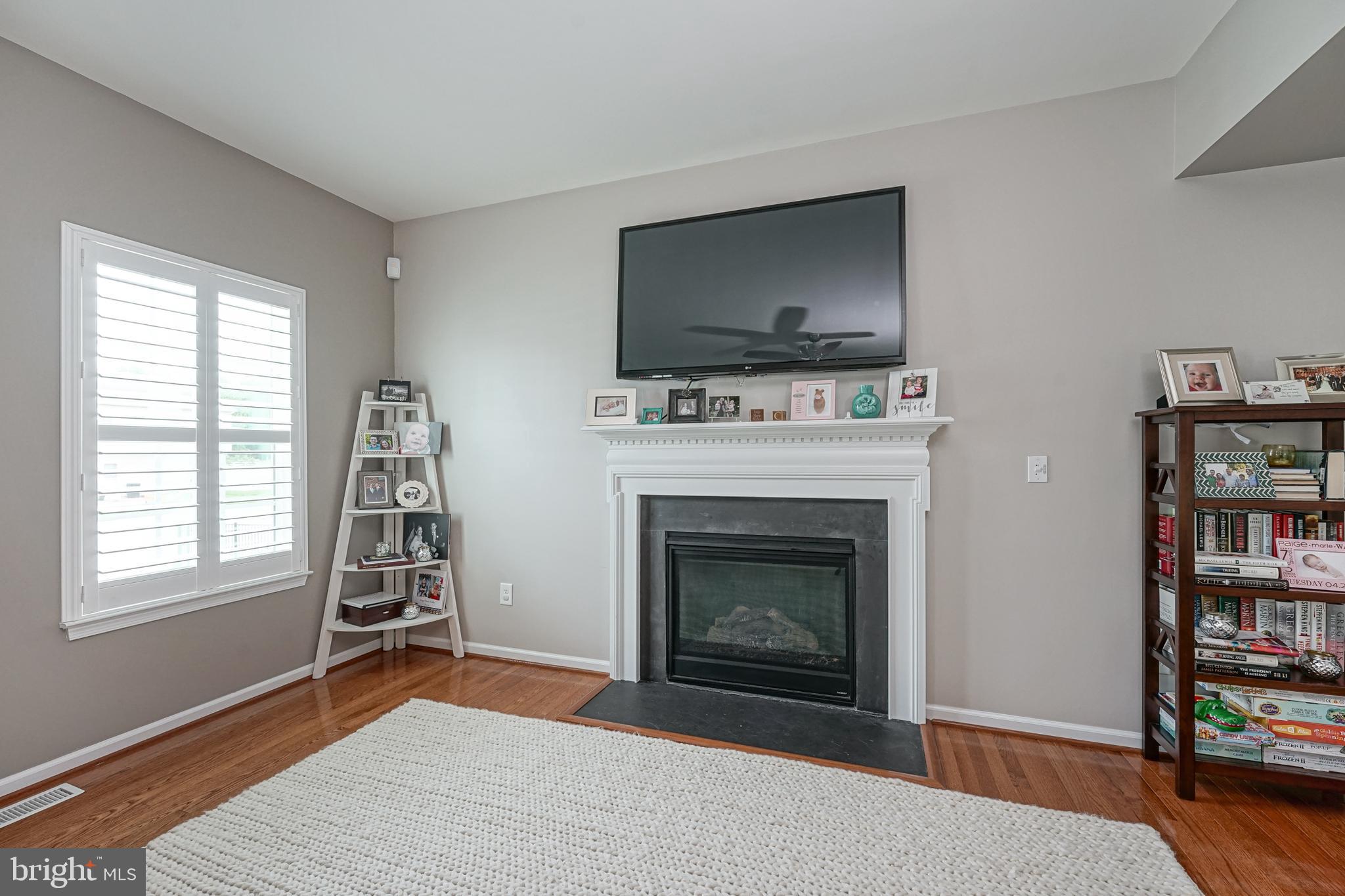 259 Staggerbush Road Williamstown, NJ 08094 - Photo 14 of 38 Gas Fireplace