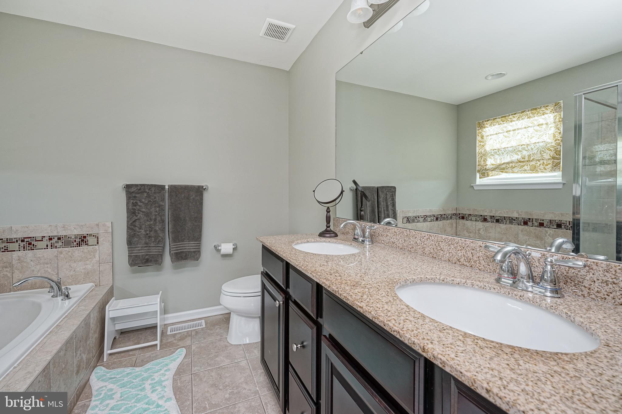 259 Staggerbush Road Williamstown, NJ 08094 - Photo 20 of 38 Master Bathroom