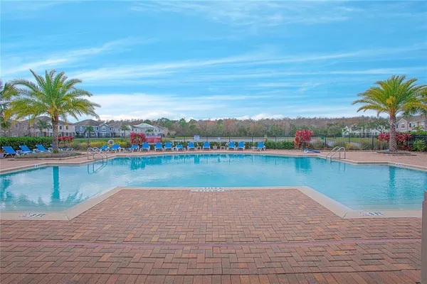 a view of swimming pool with outdoor seating and plants