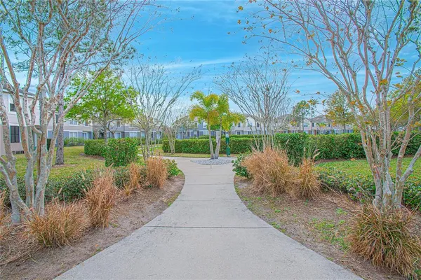 a view of a garden with a tree in front of the house