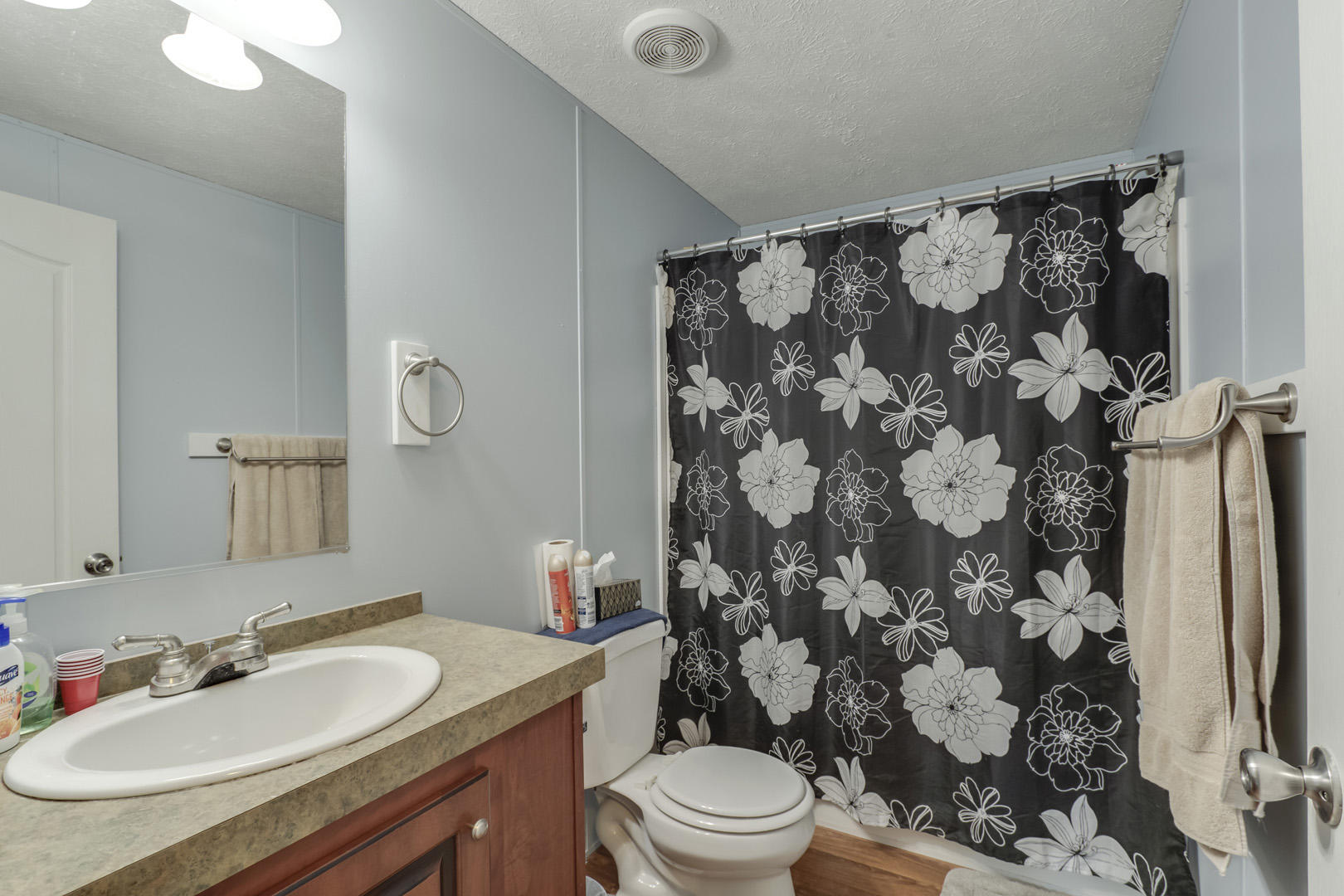 754 Plank Road Decatur, TN 37322 - Photo 20 of 27 20_PlankRoad_754_GuestBath