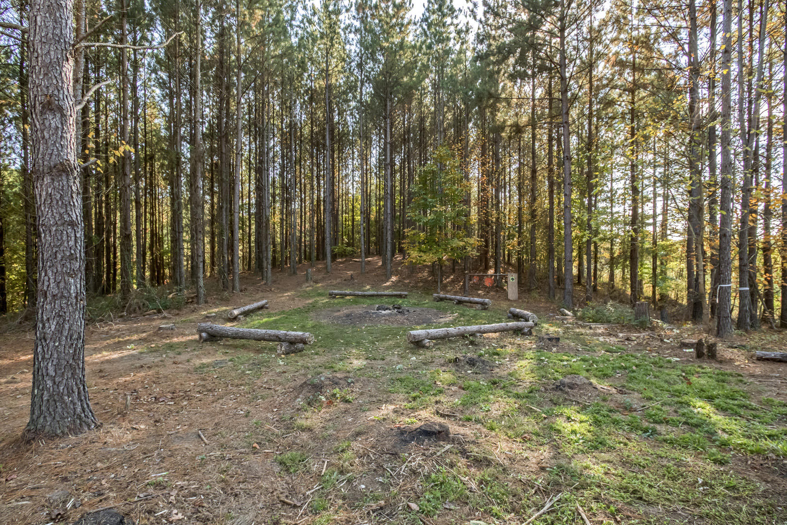 754 Plank Road Decatur, TN 37322 - Photo 26 of 27 26_PlankRoad_754_Firepit-OutdoorSeating