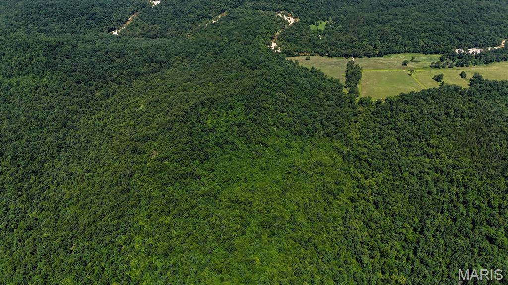 Tbd Tbd Antler Ridge Bunker, MO 63629 - Photo 13 of 26
