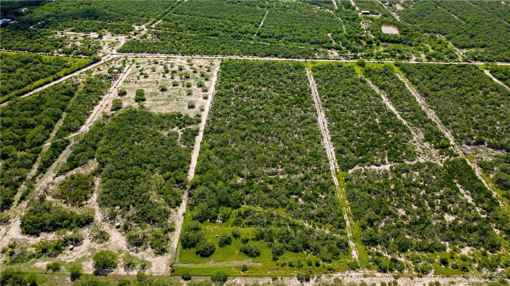 0 Old Charco Blanco Road Rio Grande City, TX 78582 - Photo 4 of 6 a view of a yard