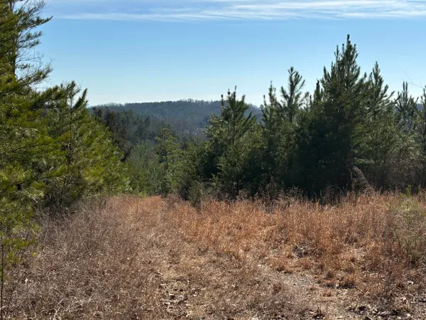 $958,500 | 0 Vaughn Mill Road, Evensville, TN 37332