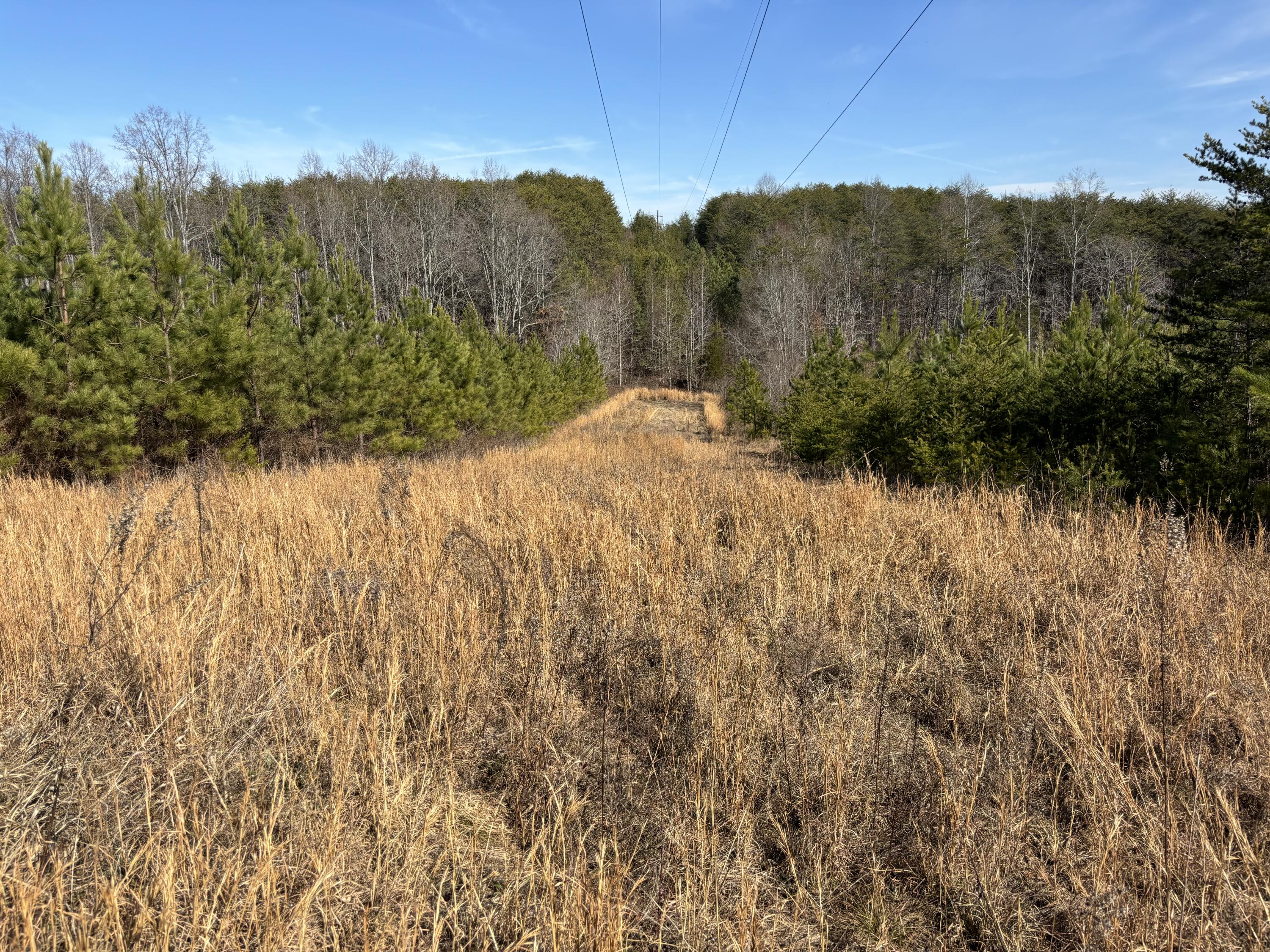 0 Vaughn Mill Road Evensville, TN 37332 - Photo 14 of 26 Photo Jan 29 2025, 1 20 48 PM