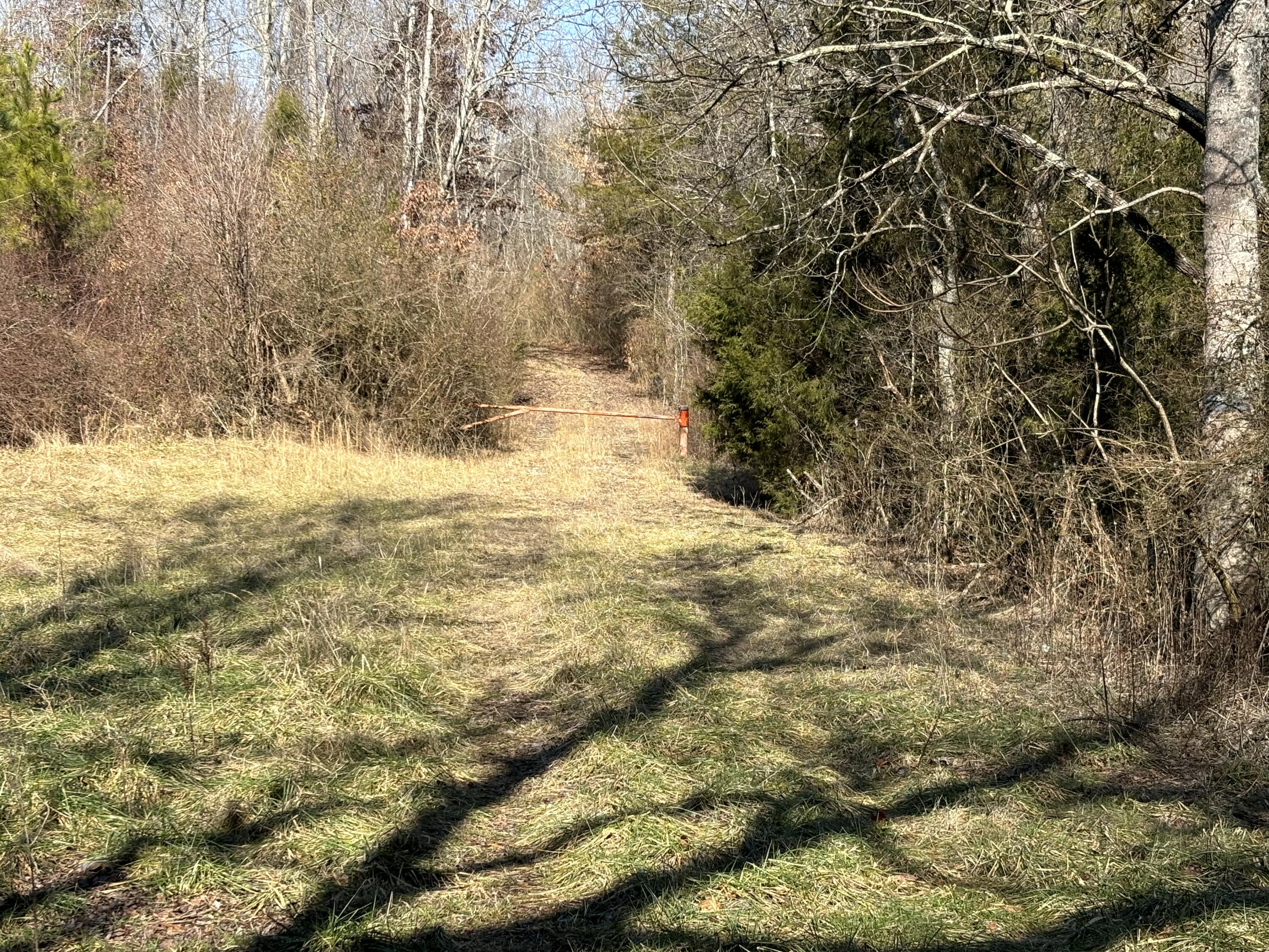 0 Vaughn Mill Road Evensville, TN 37332 - Photo 15 of 26 Photo Jan 29 2025, 12 05 38 PM