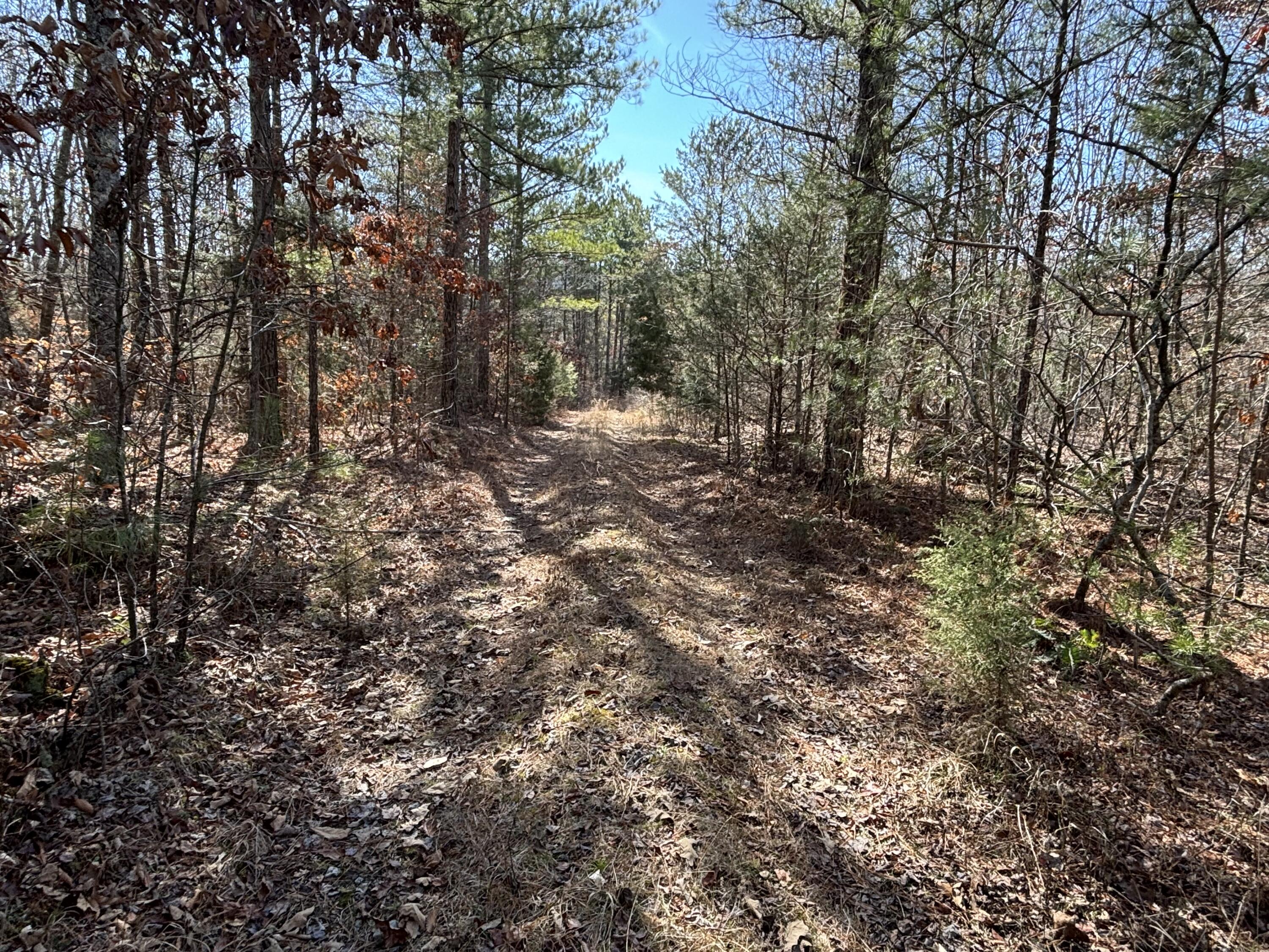 0 Vaughn Mill Road Evensville, TN 37332 - Photo 17 of 26 Photo Jan 29 2025, 12 22 51 PM