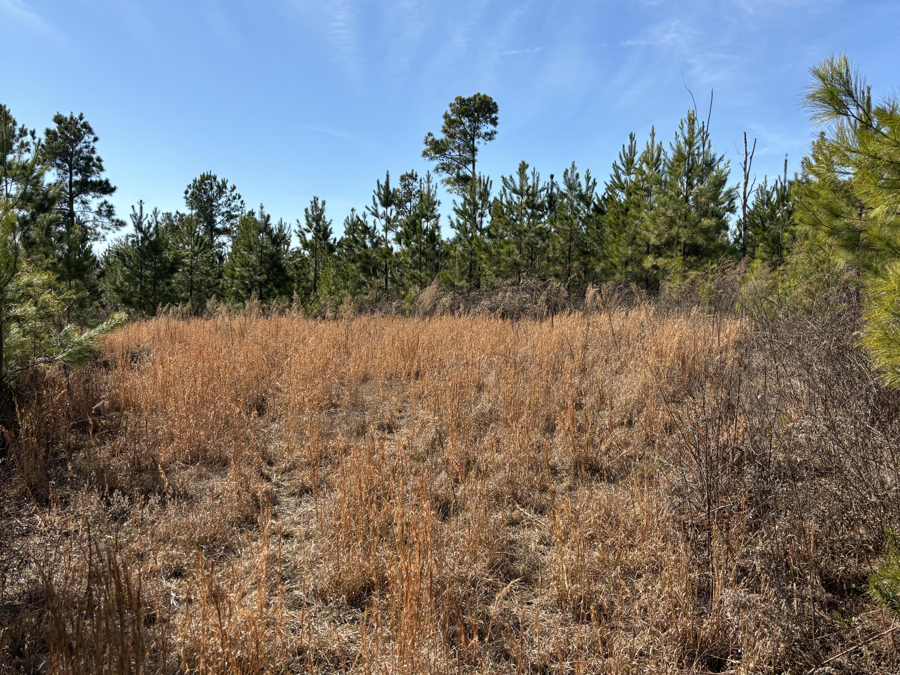 0 Vaughn Mill Road Evensville, TN 37332 - Photo 19 of 26 Photo Jan 29 2025, 12 32 23 PM
