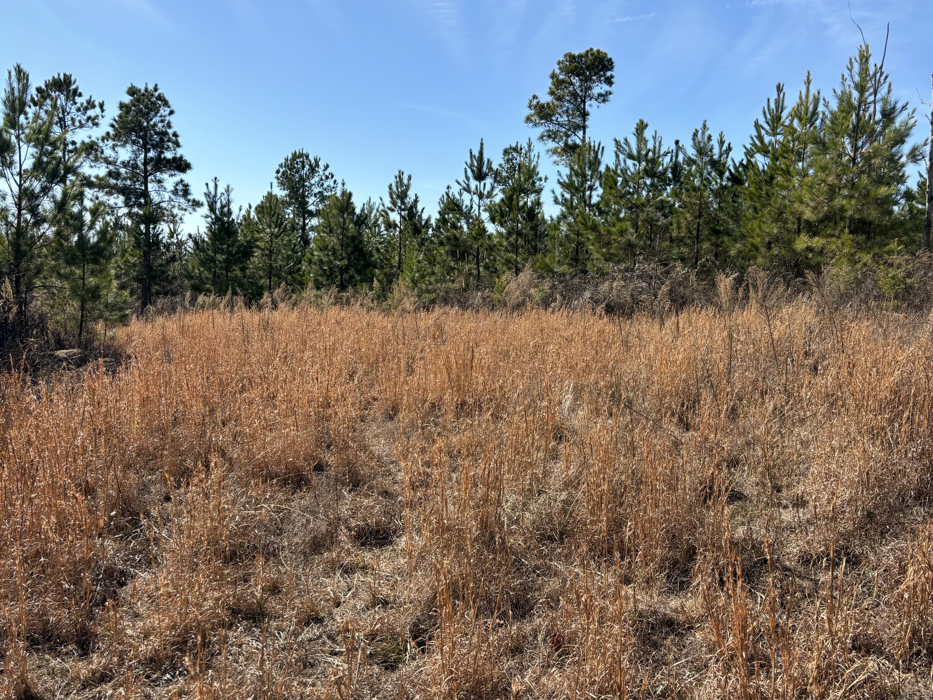 0 Vaughn Mill Road Evensville, TN 37332 - Photo 20 of 26 Photo Jan 29 2025, 12 32 31 PM