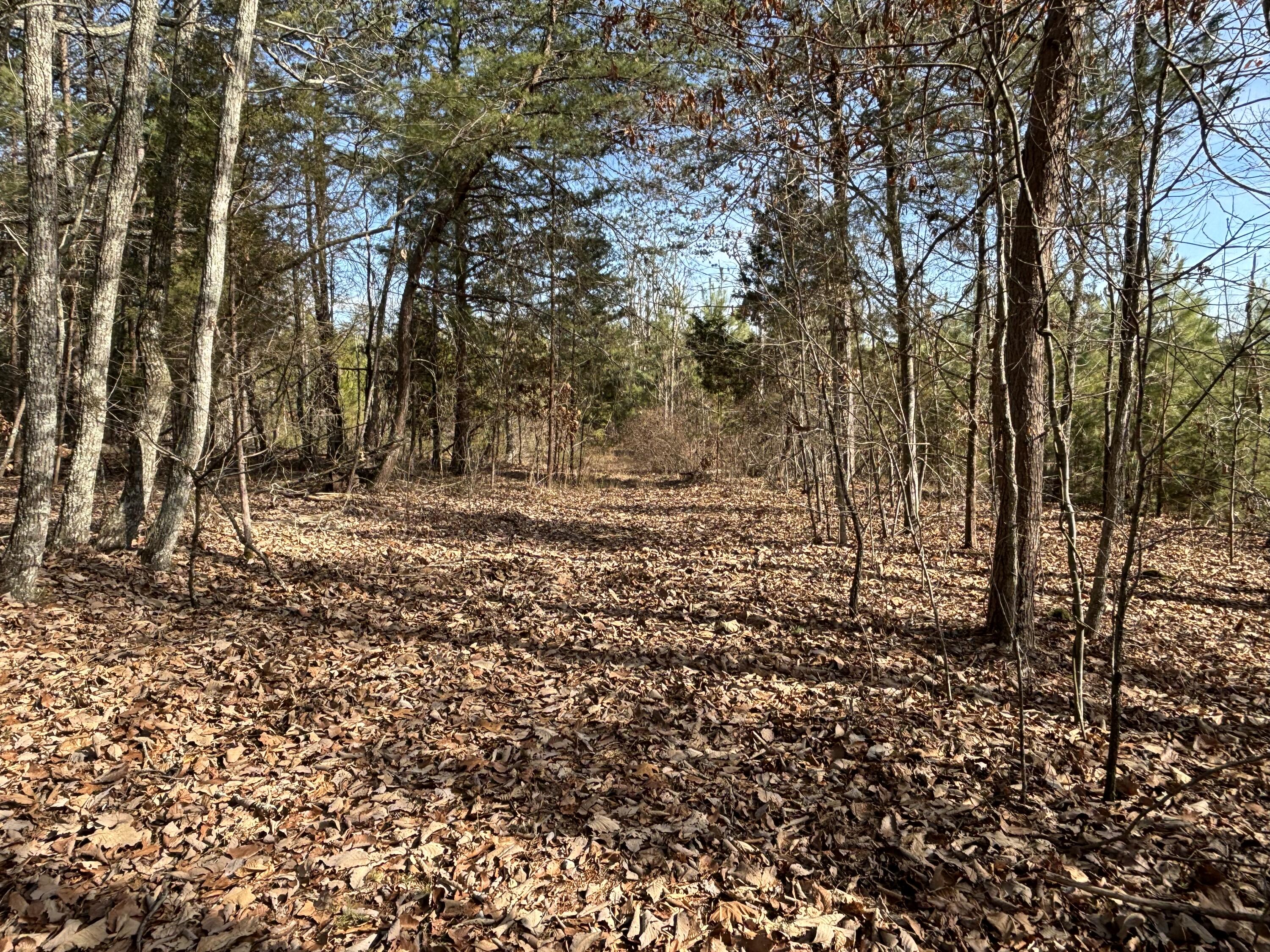 0 Vaughn Mill Road Evensville, TN 37332 - Photo 2 of 26 Photo Jan 29 2025, 1 04 03 PM