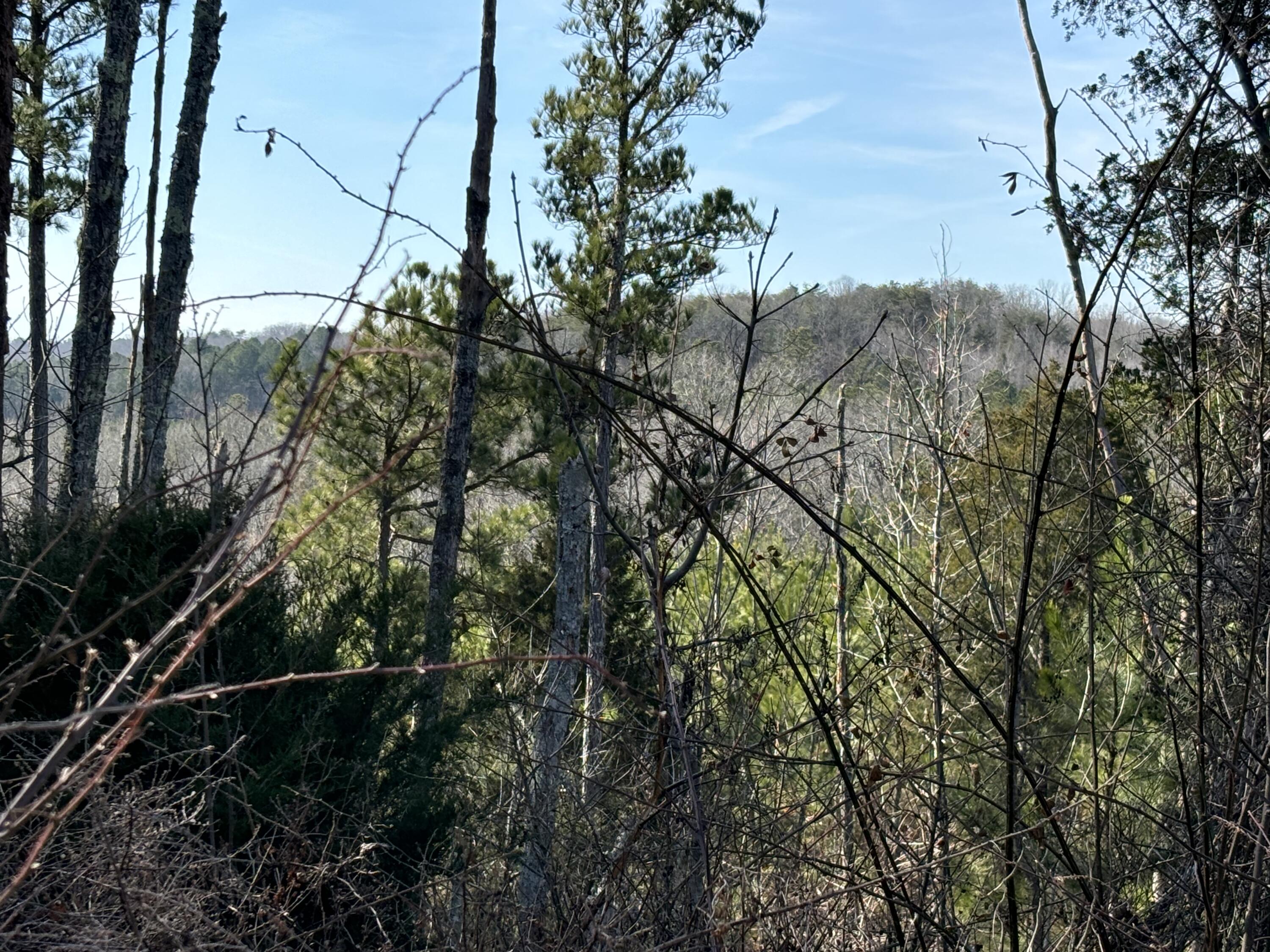 0 Vaughn Mill Road Evensville, TN 37332 - Photo 23 of 26 Photo Jan 29 2025, 12 39 12 PM