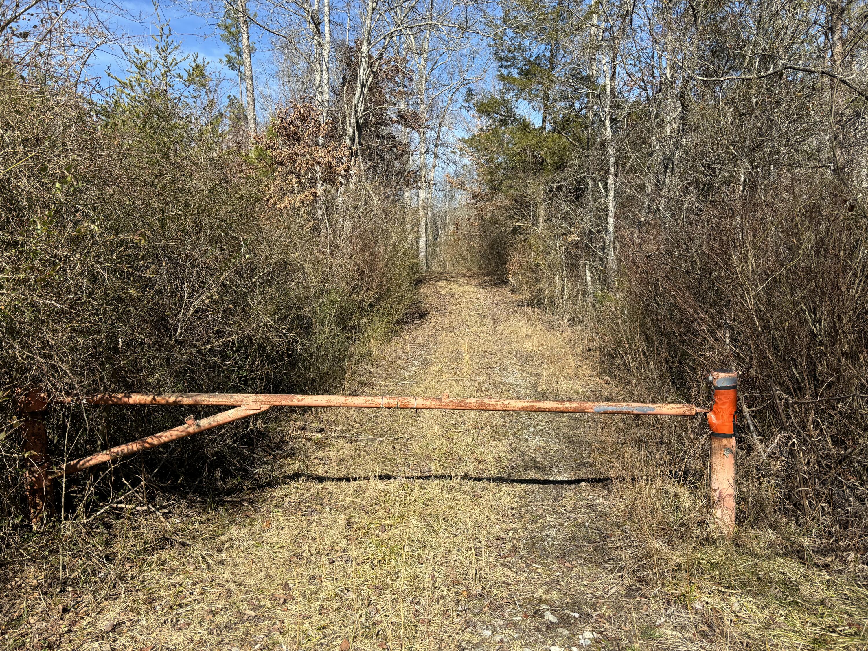 0 Vaughn Mill Road Evensville, TN 37332 - Photo 5 of 26 Photo Jan 29 2025, 12 06 48 PM