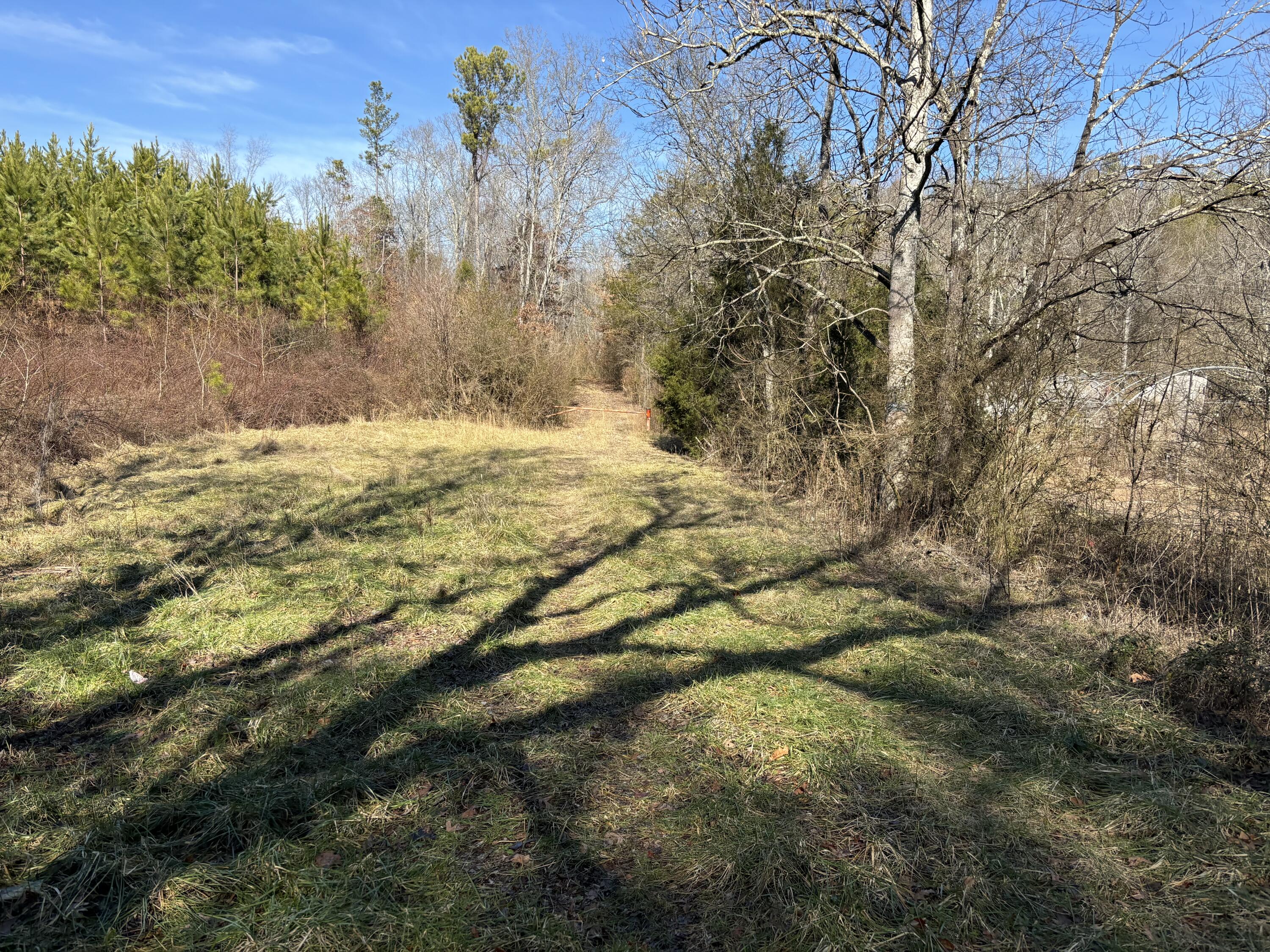 0 Vaughn Mill Road Evensville, TN 37332 - Photo 8 of 26 Photo Jan 29 2025, 12 05 35 PM