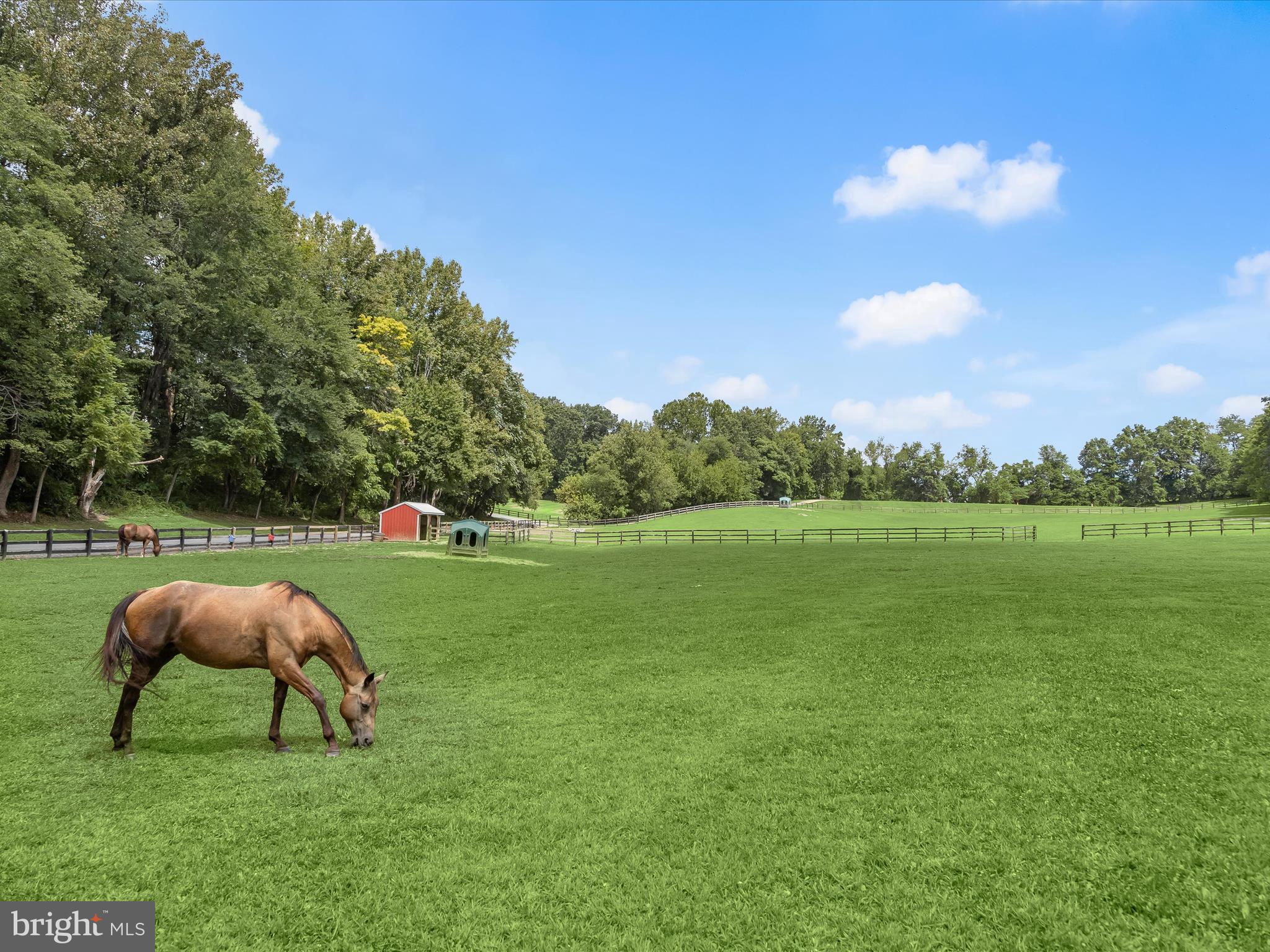 10901 Moxley Road Damascus, MD 20872 - Photo 4 of 146 Pasture