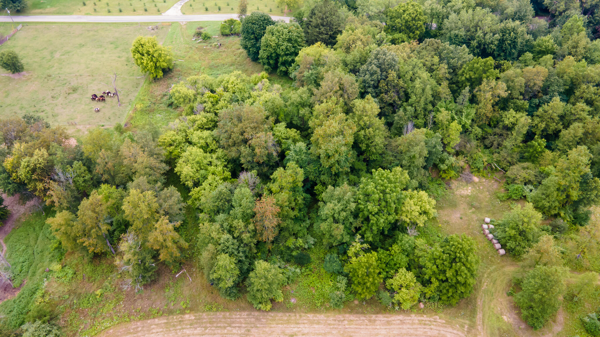 4971 Ferris Road Onondaga, MI 49264 - Photo 19 of 27 4971FERRIS19