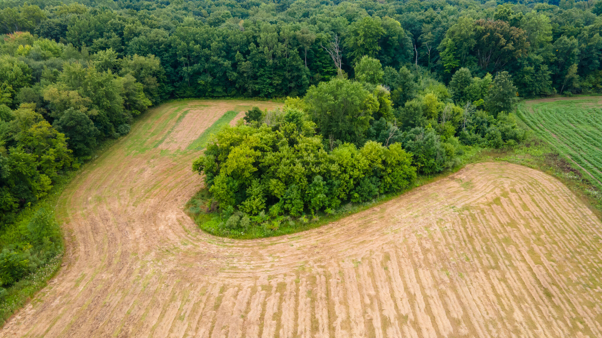 4971 Ferris Road Onondaga, MI 49264 - Photo 20 of 27 4971FERRIS20