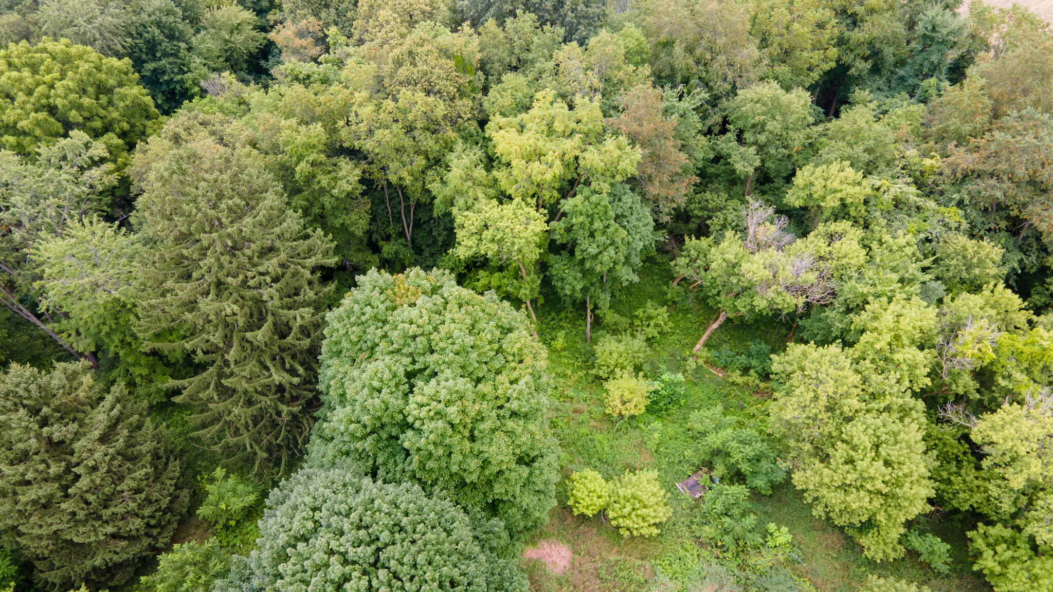 4971 Ferris Road Onondaga, MI 49264 - Photo 24 of 27 4971FERRIS24