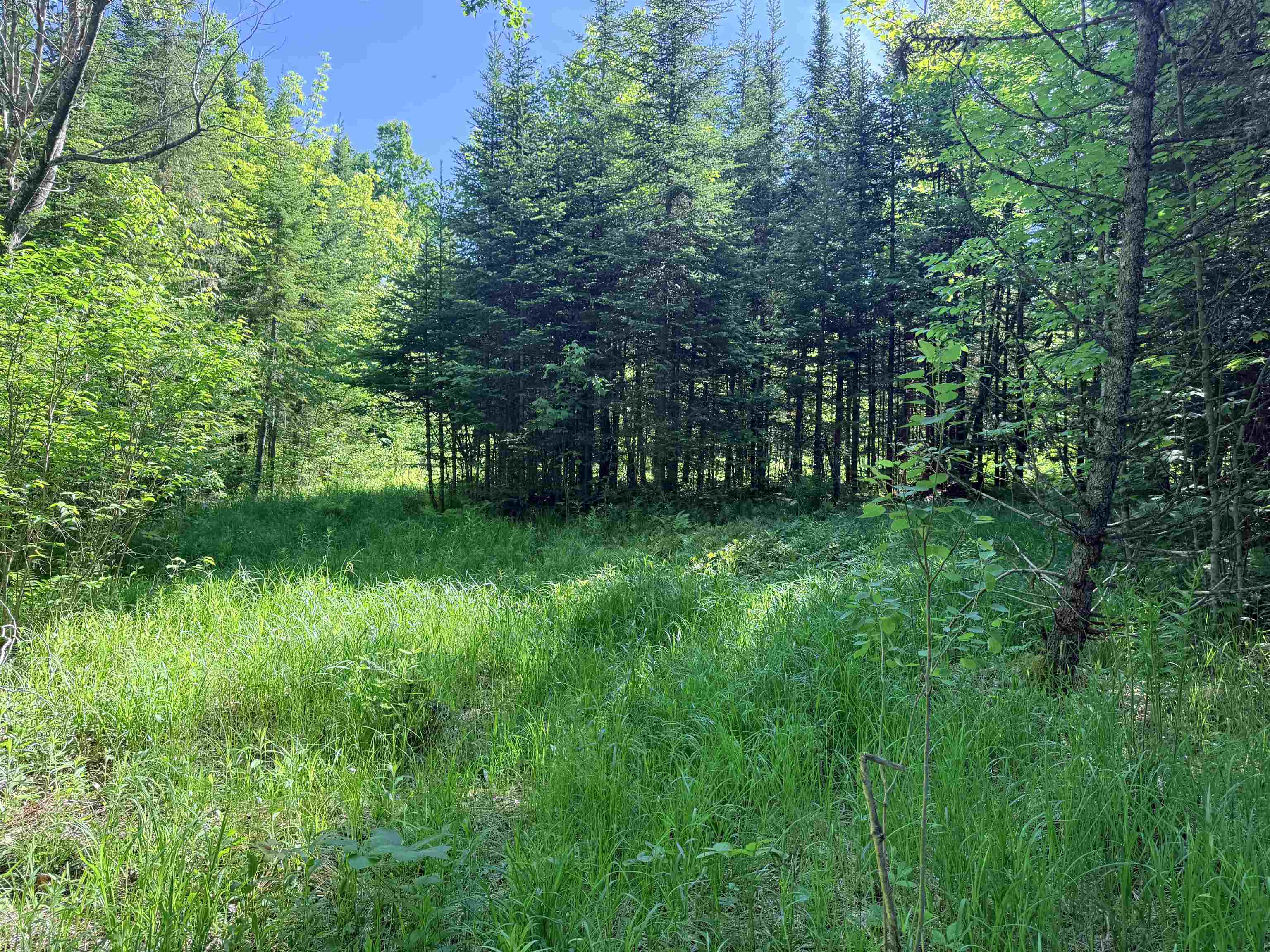0 Tug Mountain Road Lunenburg, VT 05906 - Photo 2 of 18