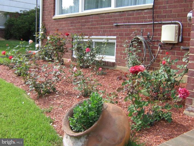 4003 Ferrara Drive Silver Spring, MD 20906 - Photo 4 of 29 a front view of a house with a yard and flowers