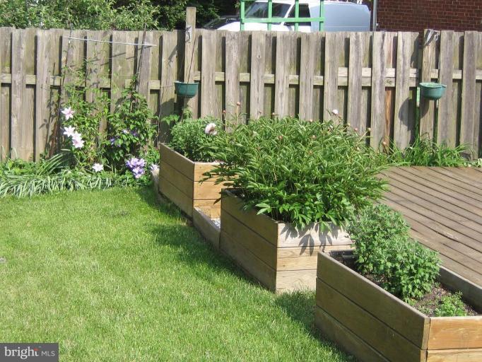 4003 Ferrara Drive Silver Spring, MD 20906 - Photo 9 of 29 a garden with wooden fence
