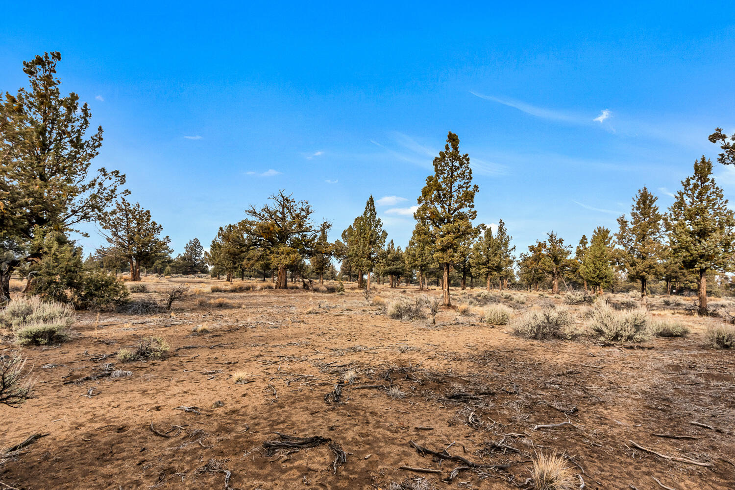 19250 Dayton Road Bend, OR 97703 - Photo 36 of 49 OReilly_20211103_38_141417_72ppi