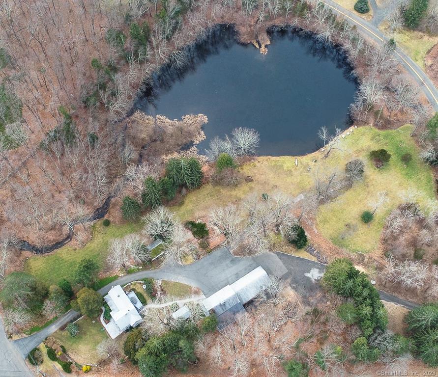 Beautful Aerial view of 56 Seymour Road