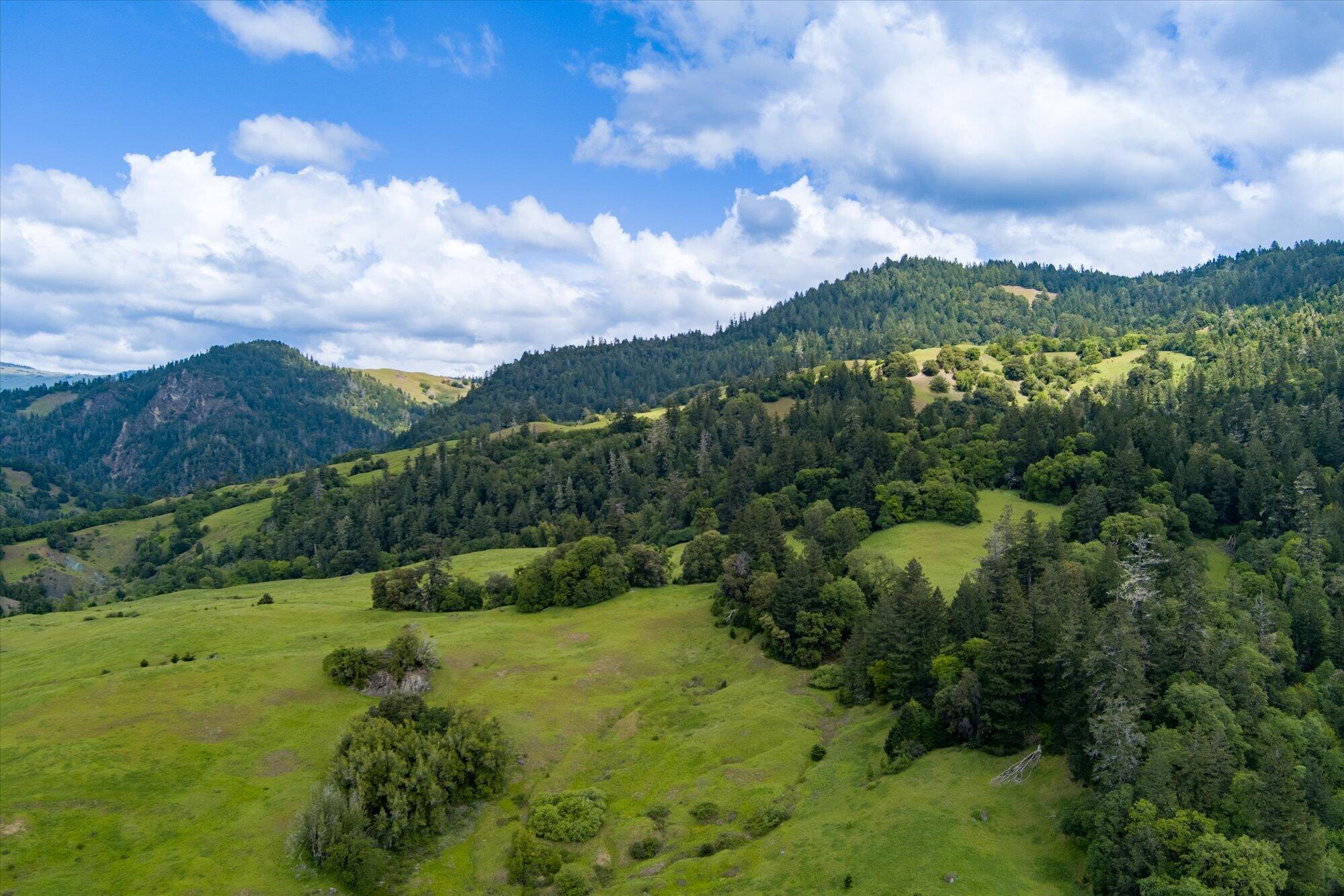 0 Reed Mountain Road Garberville, CA 95542 - Photo 15 of 19