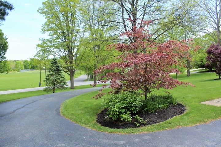 2307 North River Road Marion, IN 46952 - Photo 3 of 23 Gallery Image 3