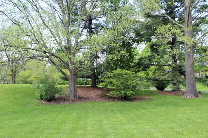 2307 North River Road Marion, IN 46952 - Photo 4 of 23 Gallery Image 4