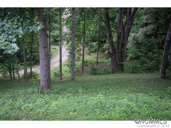91 Davidson Gap Road Leicester, NC 28748 - Photo 17 of 23 Gallery Image 17