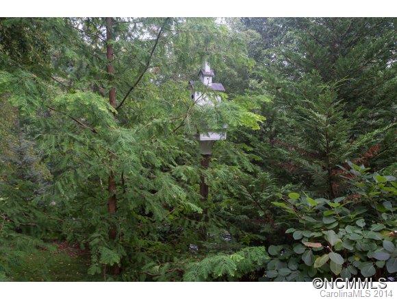 91 Davidson Gap Road Leicester, NC 28748 - Photo 22 of 23 Gallery Image 22