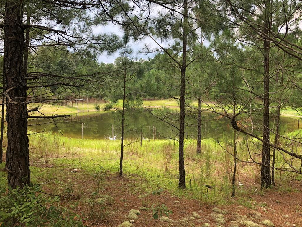 201 Kipling Road Aiken, SC 29805 - Photo 13 of 68