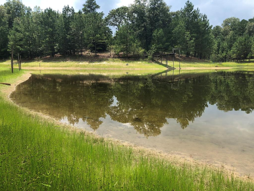 201 Kipling Road Aiken, SC 29805 - Photo 17 of 68