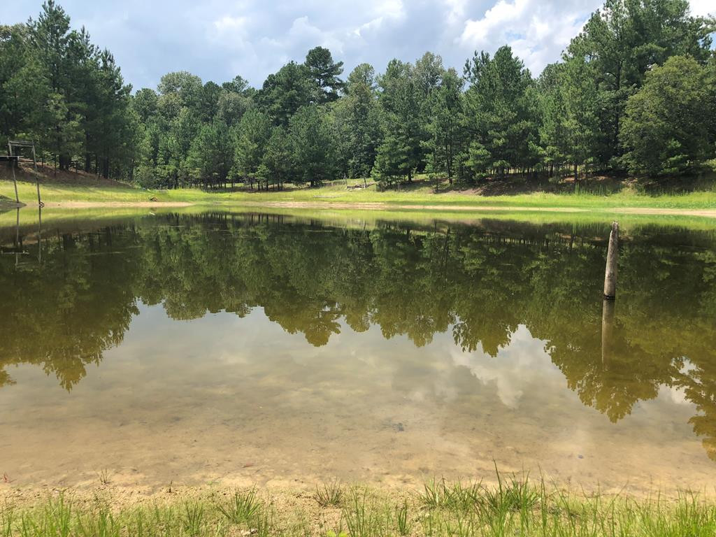 201 Kipling Road Aiken, SC 29805 - Photo 18 of 68